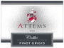 Attems Pinot Grigio 2004 Front Label