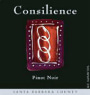 Consilience Pinot Noir 2002 Front Label