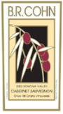 B.R. Cohn Olive Hill Estate Cabernet Sauvignon 2003 Front Label