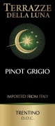 Cavit Trentino Terrazze della Luna Pinot Grigio 2010 Front Label