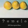 Pomelo Sauvignon Blanc 2005 Front Label