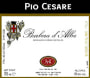 Pio Cesare Barbera d'Alba 2004 Front Label