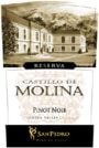 Vina San Pedro Castillo de Molina Pinot Noir Reserva 2004 Front Label