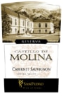Vina San Pedro Castillo de Molina Cabernet Sauvignon Reserva 2004 Front Label