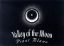 Valley of the Moon Pinot Blanc 2005 Front Label