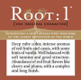 Root:1 Cabernet Sauvignon Reserva 2005 Front Label