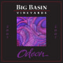 Big Basin Odeon Syrah - Cabernet Sauvignon 2007 Front Label