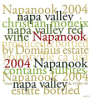 Dominus Napanook Vineyard 2004 Front Label