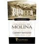 Vina San Pedro Castillo de Molina Cabernet Sauvignon Reserva 2005 Front Label