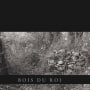 Costes Cirgues Bois du Roi 2011 Front Label