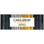 Callaway Coastal Merlot 2005 Front Label