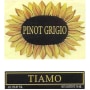 Tiamo Organic Pinot Grigio 2007 Front Label