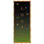 Luna Vineyards Pinot Grigio 2007 Front Label