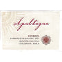 Apaltagua Cabernet Sauvignon 2007 Front Label