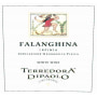Terredora di Paolo Falanghina Irpinia 2007 Front Label