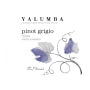 Yalumba Y Series Pinot Grigio 2008 Front Label