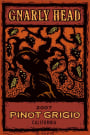 Gnarly Head Pinot Grigio 2007  Front Label
