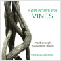 Marlborough Vines Marlborough Sauvignon Blanc 2016  Front Label