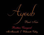 Ayoub Vineyard Brittan Vineyard Pinot Noir 2015 Front Label