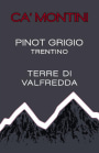 Ca' Montini Terre di Valfredda Pinot Grigio 2015  Front Label