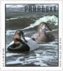 Paraduxx Canvasback 2006  Front Label
