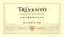 Trivento Golden Reserve Chardonnay 2009  Front Label