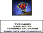 Two Hands Some Days Are Diamonds Cabernet Sauvignon 2007 Front Label