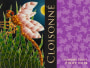 Cloisonne Sonoma Coast Pinot Noir 2015  Front Label
