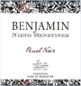 Nieto Senetiner Benjamin Pinot Noir 2015  Front Label
