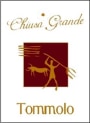 Agr. Chiusa Grande di Franco D'Eusanio Montepulciano d'Abruzzo Tommolo 2016  Front Label