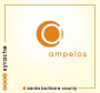 Ampelos Cellars Syrache 2006 Front Label