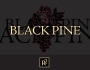 R2 Wine Company Black Pine Pinot Noir 2011 Front Label