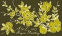A to Z Riesling 2009  Front Label