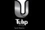 Tulip Reserve Syrah (OK Kosher) 2014  Front Label