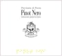 Azienda Agricola Bisi Provincia di Pavia Pinot Nero 2015  Front Label