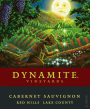 Dynamite Vineyards Cabernet Sauvignon 2009  Front Label
