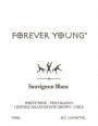 Forever Young Sauvignon Blanc 2015  Front Label