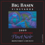 Big Basin Coastview Vineyard Pinot Noir 2009 Front Label