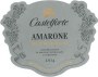 Riondo Amarone della Valpolicella Castelforte 2014  Front Label
