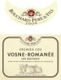Bouchard Pere & Fils Vosne-Romanee Les Suchots Premier Cru 2009  Front Label