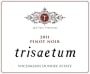 Trisaetum Wichmann Dundee Estate Pinot Noir 2011 Front Label