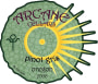 Arcane Pinot Gris 2006  Front Label