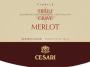 Cesari Fiorile Merlot 2015 Front Label