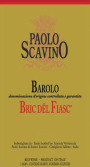 Paolo Scavino Barolo Bric del Fiasc (1.5 Liter Magnum) 2020  Front Label