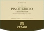 Cesari Delle Venezie Fiorile Pinot Grigio 2015  Front Label