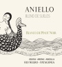 Bodega Aniello Blanco de Pinot Noir 2020  Front Label