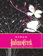 Indian Creek (Stowe) Winery Syrah 2011 Front Label