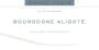 Bruno Colin Bourgogne Aligote 2021  Front Label