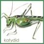 Domaine Pouillon Katydid 2013 Front Label