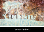 Groundwork Mourvedre 2019  Front Label